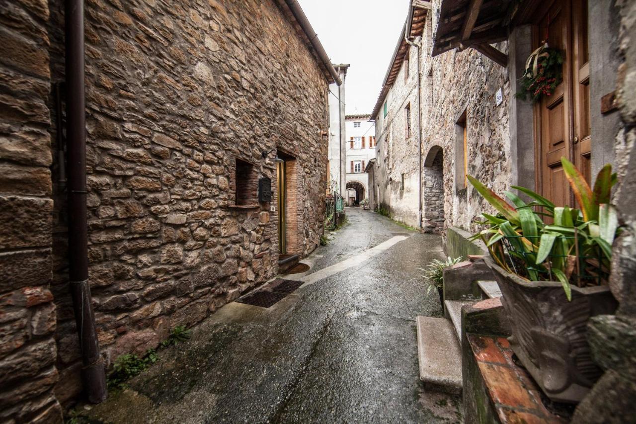 Accogliente Appartamento Sulle Colline Toscane คาปานโนริ ภายนอก รูปภาพ